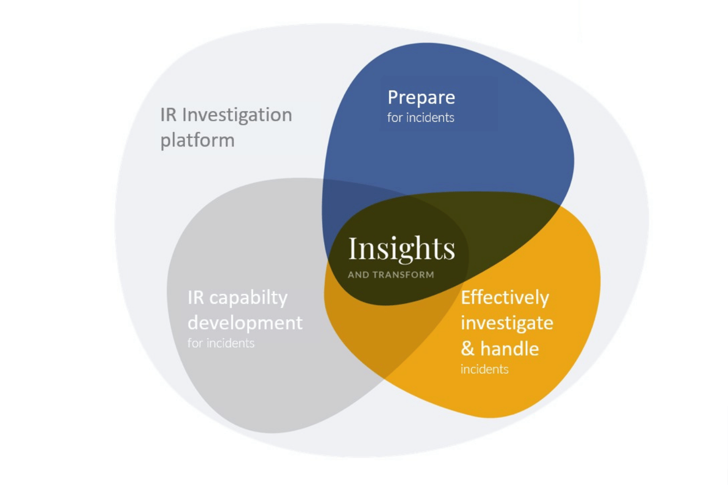 IRR service page image-1